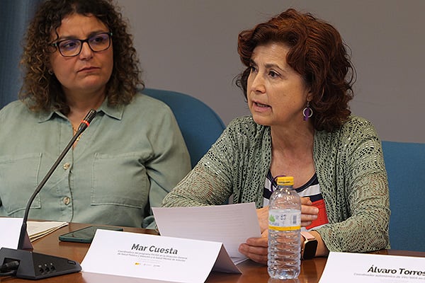 Mar Cuesta, coordinadora del Programa PAVSA en la Dirección General de Salud Pública y Atención a la Salud Menal de Asturias.