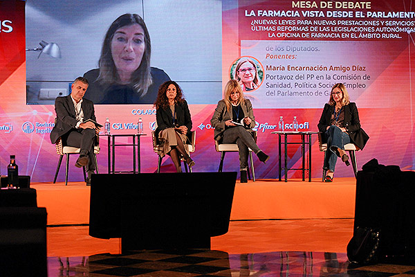 Los ponentes atienden a las ideas explicadas por la portavoz del PSOE en la Comisión de Salud del Parlamento de Islas Baleares, Patricia Gómez, que ha participado por vía telemática.