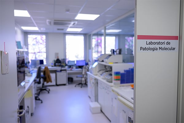 Laboratorio de Patología Molecular.