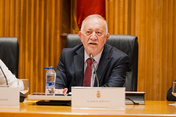José R. Repullo, profesor emérito en la Escuela Nacional de Sanidad.