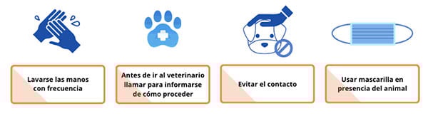 Consejos básicos para el trato con animales si padeces Covid-19