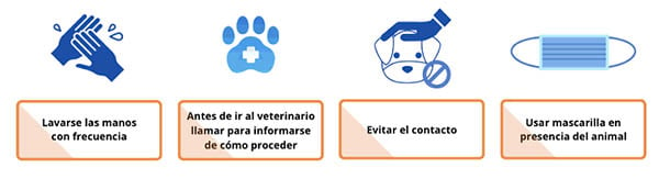 Consejos básicos para el trato con animales si padeces Covid-19