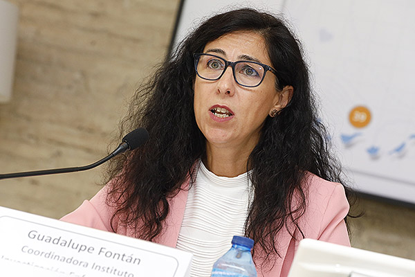 Guadalupe Fontán, coordinadora del Instituto de Investigación Enfermera del CGE.