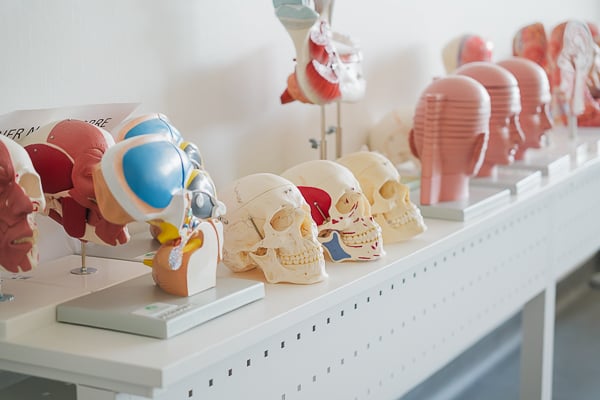 Aula de formación de Anatomía.