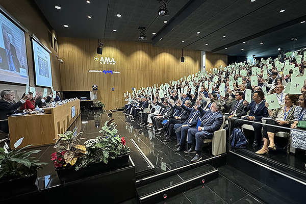 Aspecto de la sala durante las votaciones en la Asamblea General de AMA.