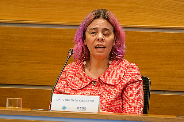 Virginia Carcedo, secretaria general de la Fundación Once.