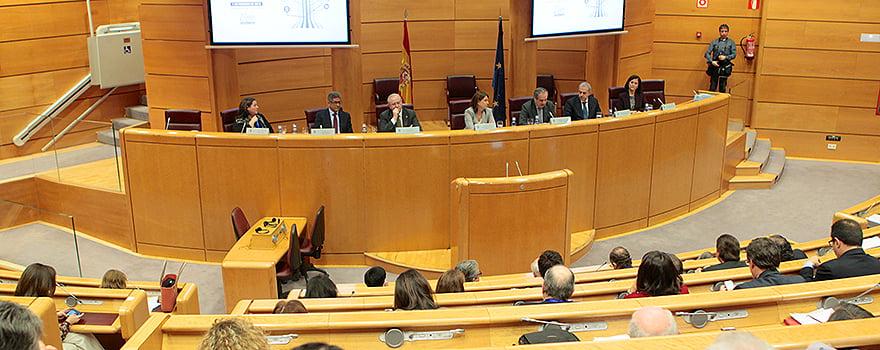 Un momento de los debates celebrados en el transcurso de la jornada celebrada en el Senado, en Madrid. 