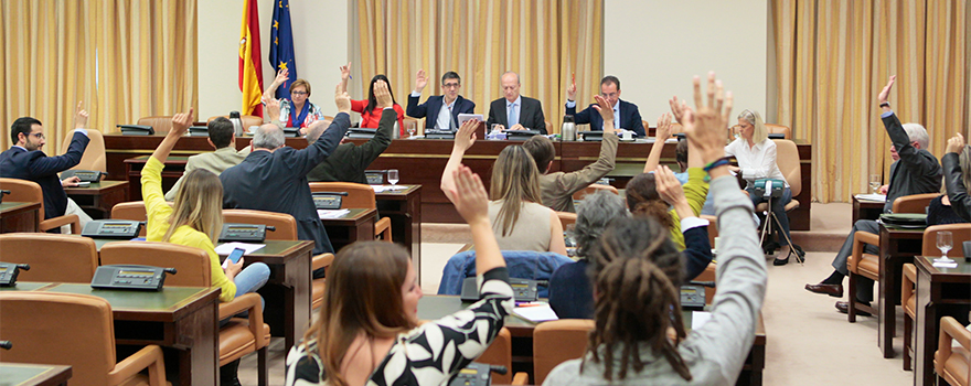Imagen del momento de la votación.