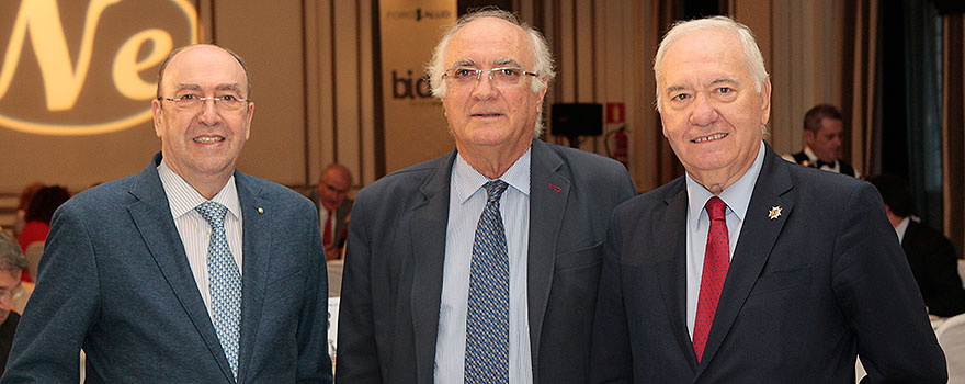 Juan Carlos Martínez, presidente del Consejo General de Optometrístas, Miguel Villafaina, presidente del Consejo General de Fisioterapeutas de España y Florentino Pérez Raya, presidente del Consejo General de Enfermería. 