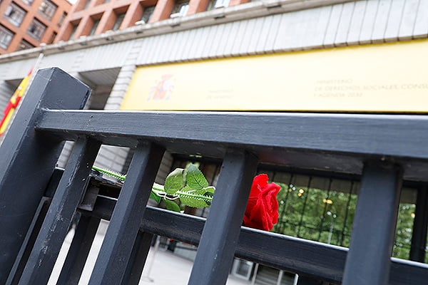 El día de Sant Jordi ha estado presente en esta asignación de plazas.