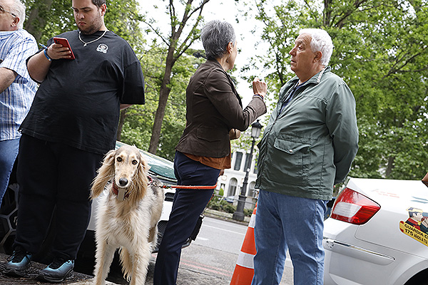 Las mascotas también han querido estar presentes en este día tan especial.