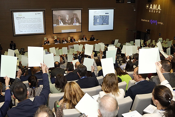 Aspecto de la sala durante la Asamblea General de AMA.