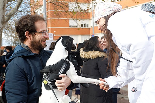 El 'dogtor' saluda a una 'paciente'