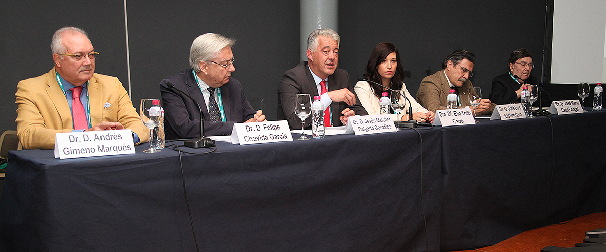 En la Mesa de Medicina Rural han participado Andrés Gimeno Marqués, expresidente de Semergen; Felipe Chavida García, expresidente de Semergen; Jesús Melchor Delgado, consultorio de Turón-Figaredo; Eva Trillo Cavo, vocal de la Junta Directiva Nacional de Semergen;José Luis Llisterri Caro,  presidente de Semergen; y José María Catalá Ángel, expresidente de Semergen.