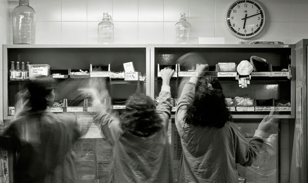 Tercer premio del concurso de fotografía.