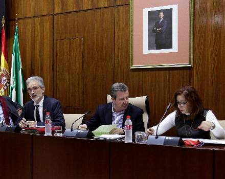 Miguel Angel García Anguita, en el centro, presidiendo la comisión de Salud, junto a Aquilino Alonso. 