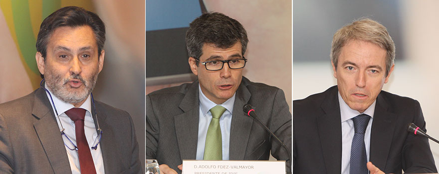 Julio Mayol, Adolfo Fernández-Valmayor y Adolfo Ezquerra en un momento de sus intervenciones durante el acto del IDIS. 