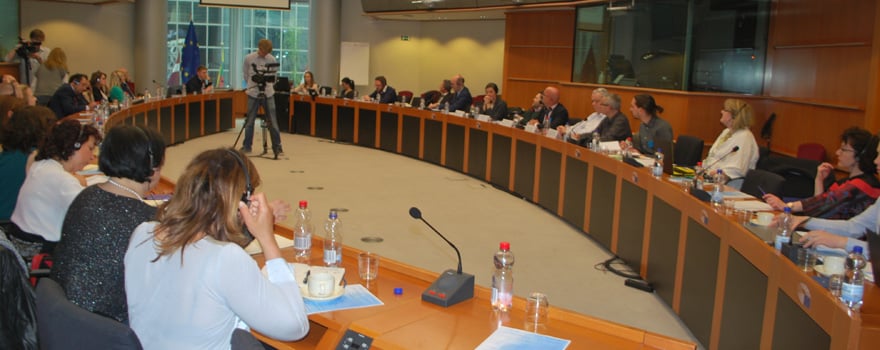 Un momento de la intervención de César Pascual, en la sede del Parlamento Europeo, en Bruselas