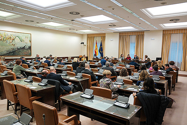 Un momento de la primera sesión de la Comisión de Sanidad del Congreso. 