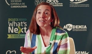 "Conocer el perfil lipídico de un paciente reduce la probabilidad de ictus"