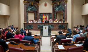 La oposición al Gobierno de la Región de Murcia pide la dimisión de la consejera de Salud, Isabel Ayala, nombrada en el cargo hace tres semanas