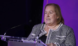 ¿El FIR ya no interesa? Del sector privado a la falta de prácticas de grado