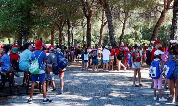 Un grupo de niños participa en un campamento al aire libre. 