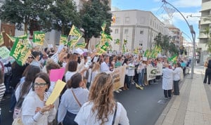¿Ha servido para algo la huelga médica contra el Estatuto Marco? Vota