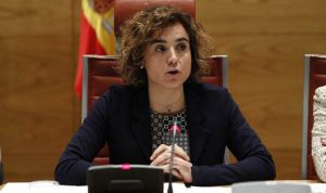 "La tasa de atención a grandes dependientes ha crecido un 14% desde 2011"