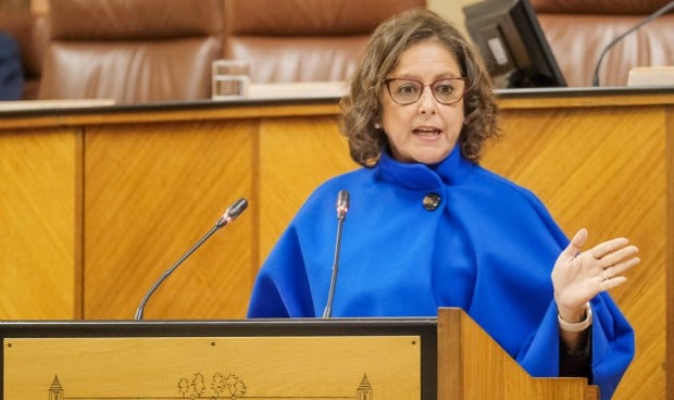 Catalina García en el Parlamento de Andalucía niega la privatización de la sanidad.