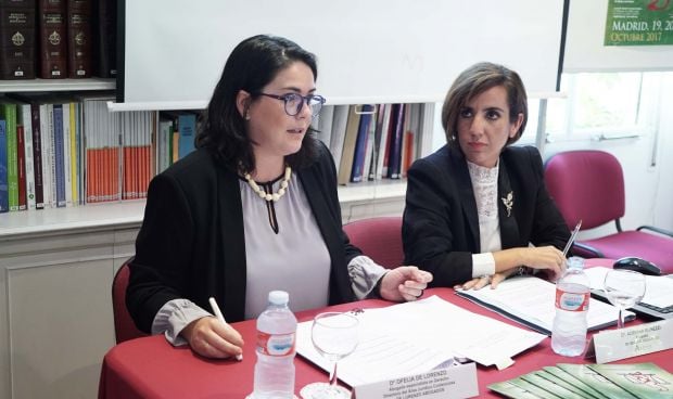 "No deberíamos llamar maternidad subrogada a la gestación por sustitución"