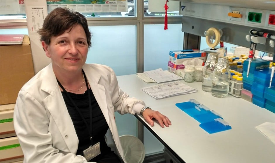 Anna Bigas, responsable de 50 grupos de investigación oncológicos, pide reducir la carga burocrática 