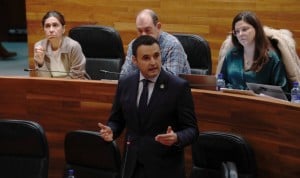 'Sí' unánime del Parlamento a crear el Colegio de Logopedas de Asturias