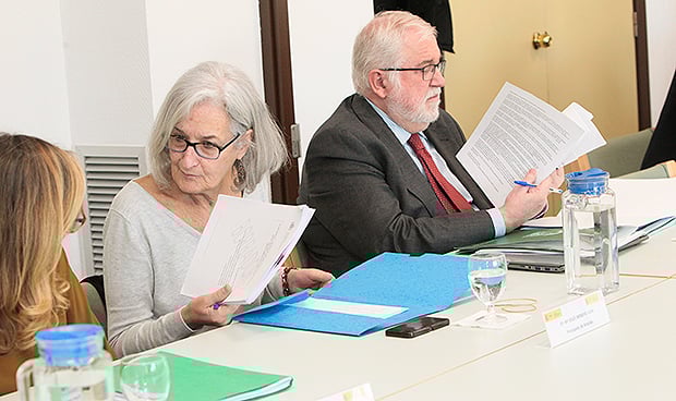 Sanidad plantea "entre 5 y 7" centros de referencia nacionales en CART