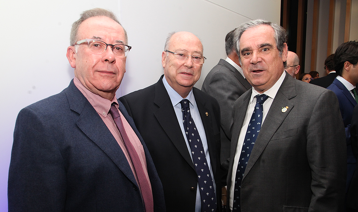 Ana Pastor: "AMA es la casa de todos los profesionales sanitarios"