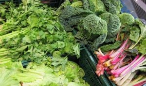 Acelgas contaminadas con estramonio, Madrid da la alerta tras 2 intoxicados