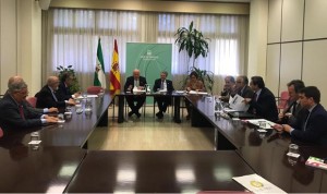 Aguirre se reúne con los médicos andaluces para informarles de sus medidas