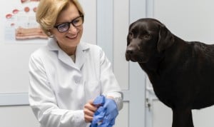 Air Liquide da respuesta a las crecientes demandas del sector veterinario