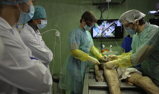 Práctica de disección de cadáveres, que prefieren los estudiantes del grado de Medicina