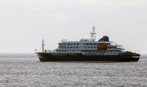 Alerta sanitaria por hantavirus: la OMS confirma 2 positivos en el crucero