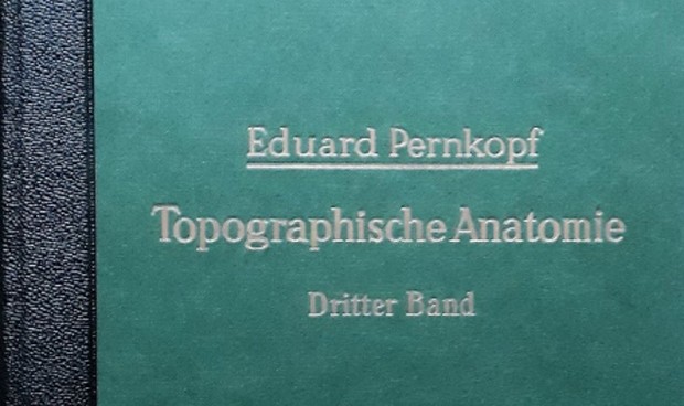 Anatomía de Pernkopf: el libro de Medicina "apestado" por su secreto nazi