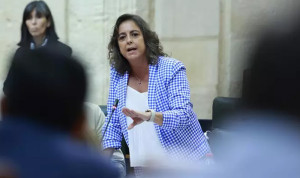 Consejera de Salud y Consumo, Catalina García.