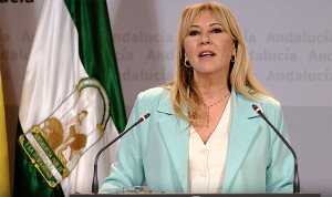 Andalucía aprueba el Plan de Salud Mental y Adicciones hasta 2029