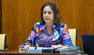 Catalina García, consejera de Salud y Consumo de Andalucía.