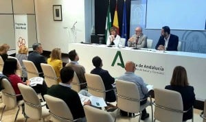 Constitución del Comité Directivo del Plan Estratégico de Salud Mental y Adicciones de Andalucía (PESMAA)