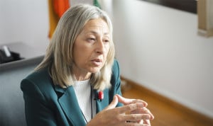 La consejera de Salud de Andalucía, Rocío Hernández, responsable de los contratos médicos de verano.  