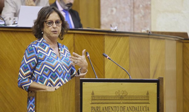  Catalina García, consejera de Sanidad andaluza, crea un Consejo Asesor externo para su plan de Salud Mental.