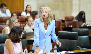 La consejera de Salud, Rocío Hernández, presenta su plan de paliativos pediátricos en el Parlamento. 