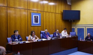Comisión de Salud y Consumo en el Parlamento de Andalucía 