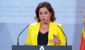  La consejera de Salud, Catalina García